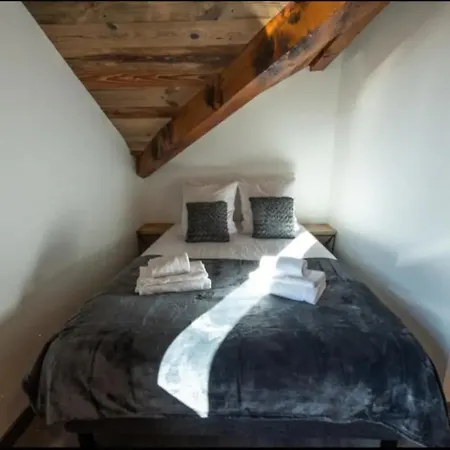 Chalet 24 Pers Sur La Route Du Tour Huez