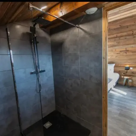 Chalet 24 Pers Sur La Route Du Tour Huez